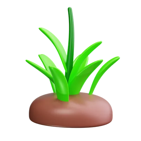 Gras  3D Icon