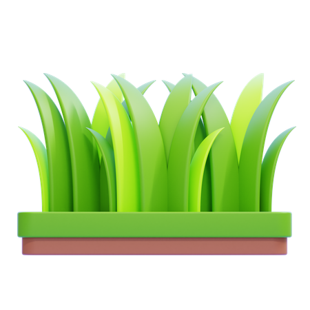 Gras  3D Icon