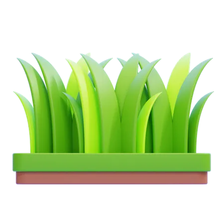 Gras  3D Icon