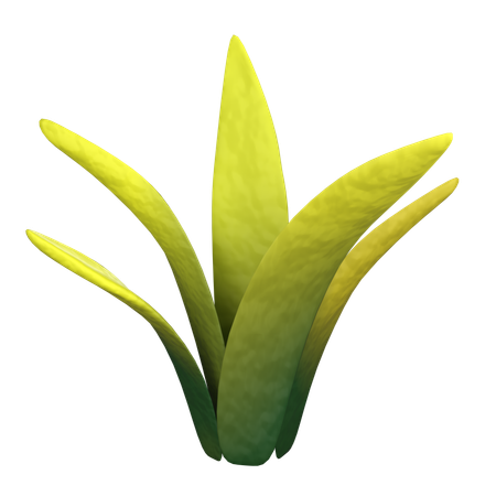 Gras  3D Icon