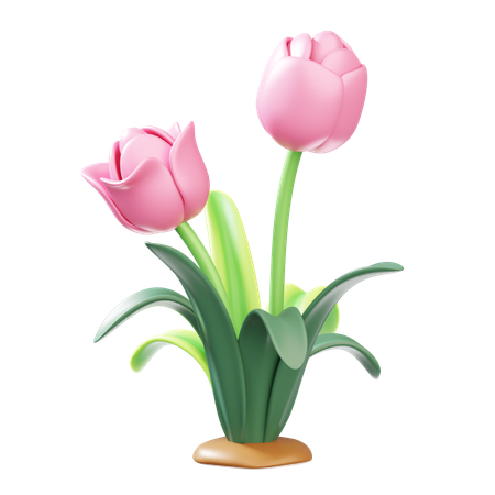 Gras  3D Icon