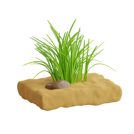 Gras  3D Icon