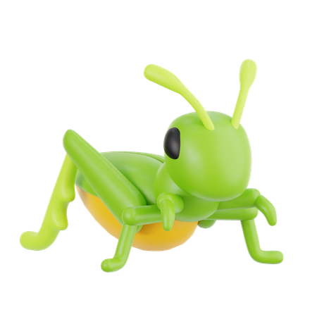 메뚜기  3D Icon