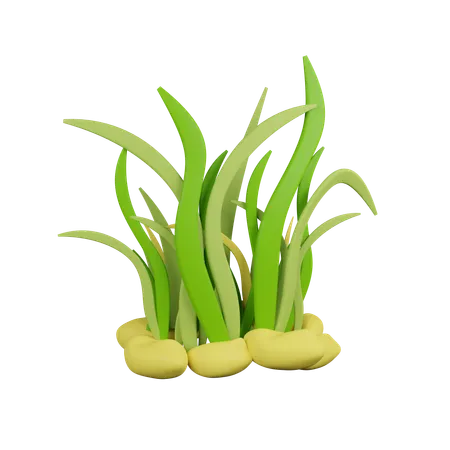 Grass 3 D Icon Contains PNG BLEND GLTF And OBJ Files 3D Icon