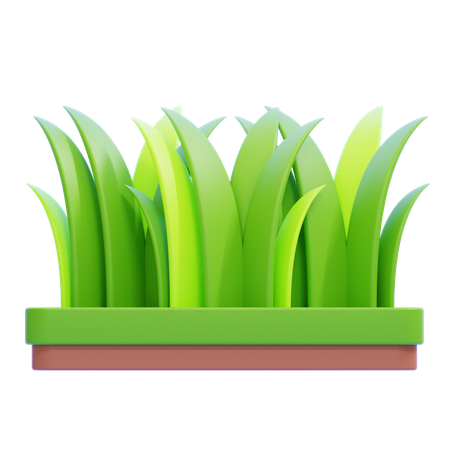 Grass  3D Icon