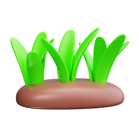 Grass  3D Icon