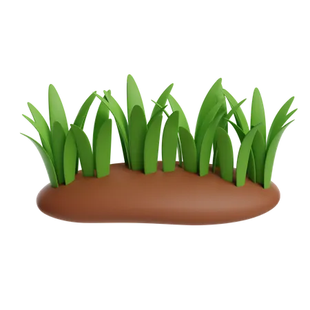 Grass  3D Icon