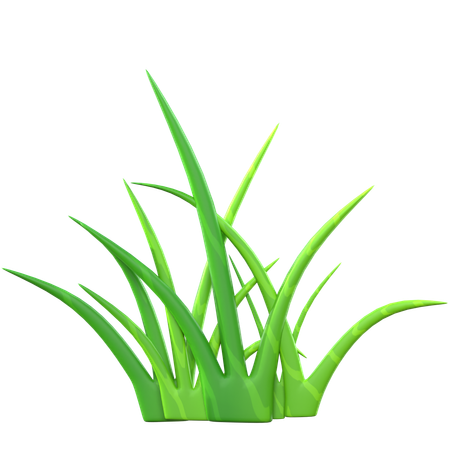 Grass  3D Icon