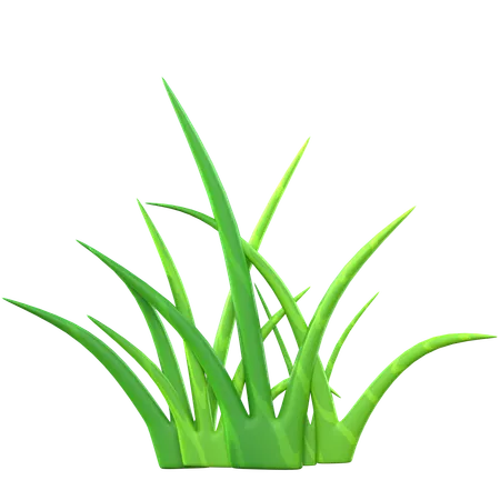 Grass  3D Icon