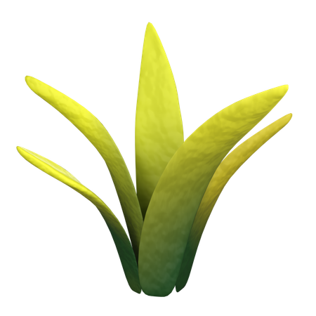 Grass  3D Icon