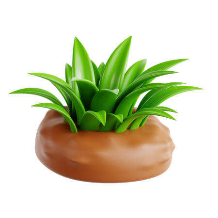 Grass  3D Icon