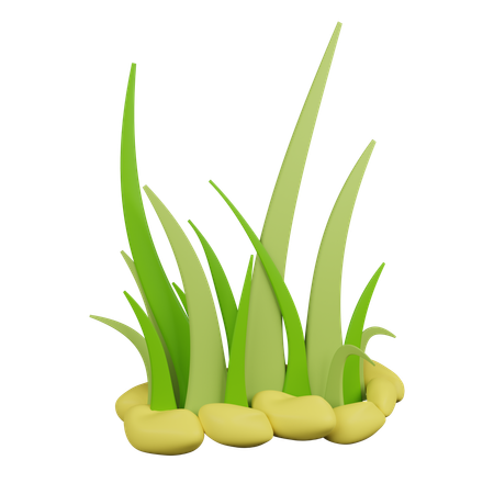 Grass  3D Icon