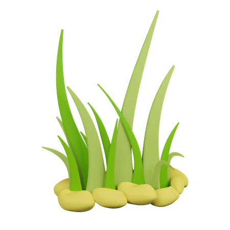 Grass  3D Icon