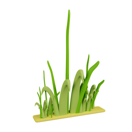 Grass  3D Icon