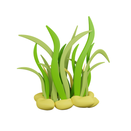 Grass  3D Icon