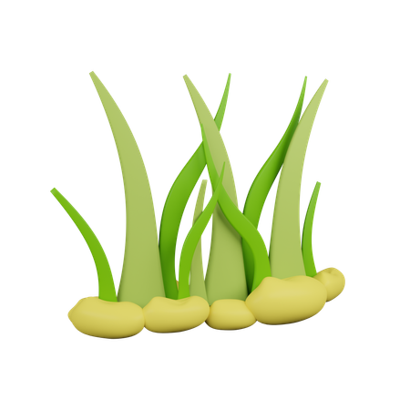 Grass  3D Icon