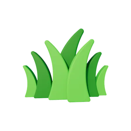 Grass  3D Icon