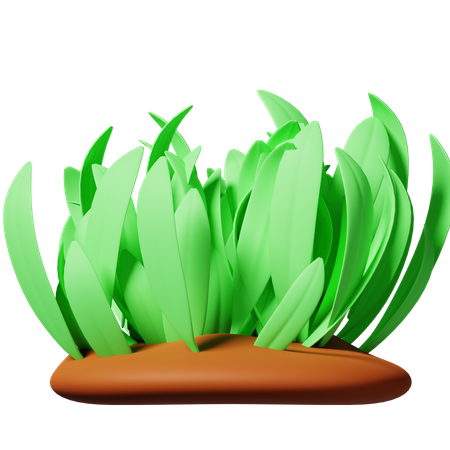 Grass  3D Icon