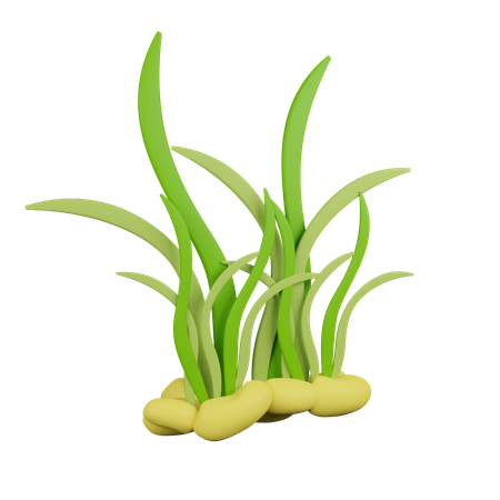 Grass  3D Icon
