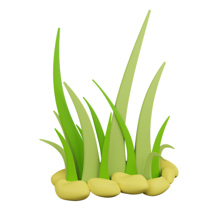 Grass  3D Icon