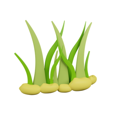 Grass  3D Icon