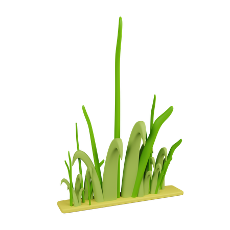 Grass  3D Icon