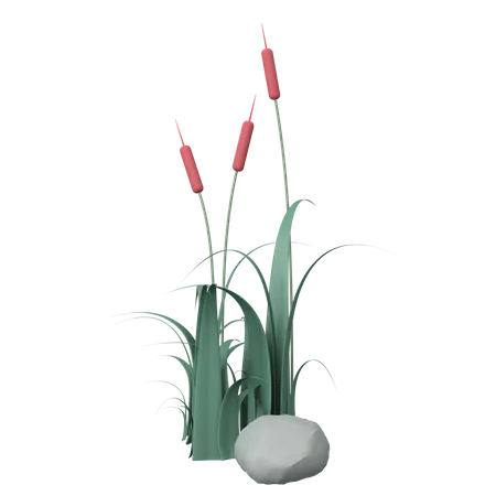 Grass  3D Illustration