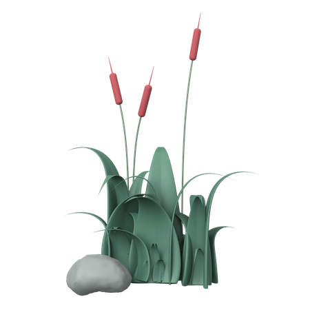 Grass  3D Illustration