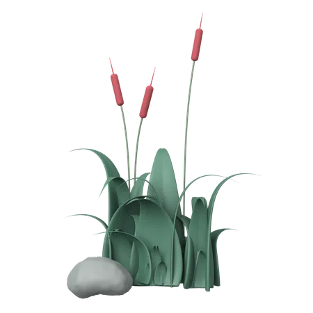 Grass  3D Illustration