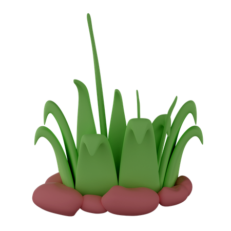 Grass 3D Illustration