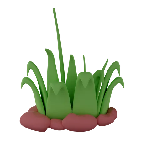 Grass  3D Illustration