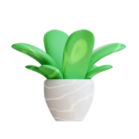 Grass Plant  3D Icon