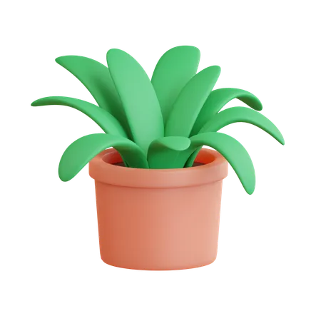Grass Pot  3D Icon