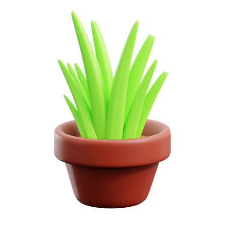 Grass Pot  3D Icon