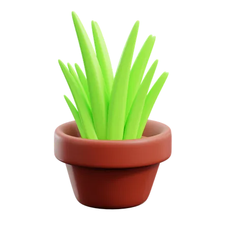 Grass Pot  3D Icon