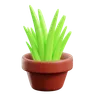 Grass Pot