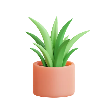 Grass Pot  3D Icon