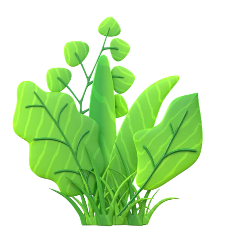 Grass With Leaf  3D Icon