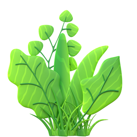 Grass With Leaf  3D Icon