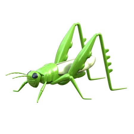 Grasshopper 3 D Insect Illustration 3D Icon