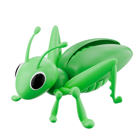 Grasshopper  3D Icon