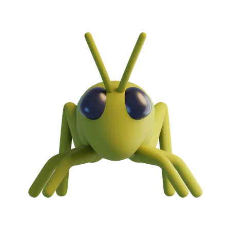 Grasshopper  3D Icon