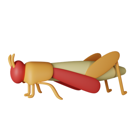 Grasshopper  3D Icon