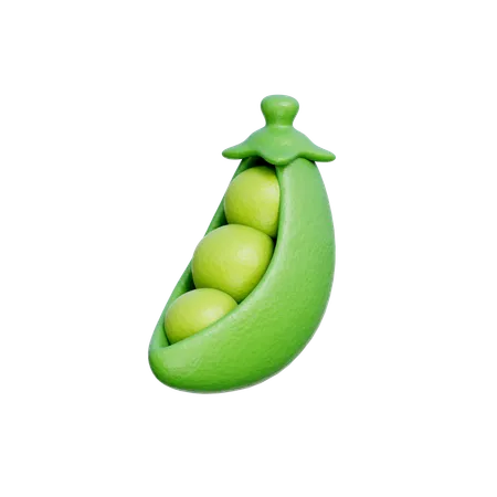 Green Beans  3D Icon