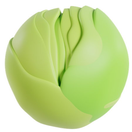 Green Cabbage  3D Icon
