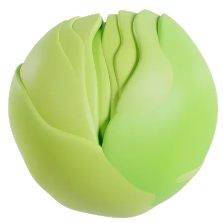 Green Cabbage  3D Icon