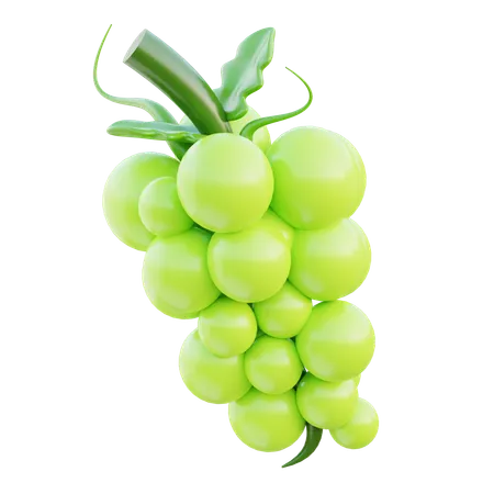 Green Grape  3D Icon