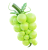 Green Grape