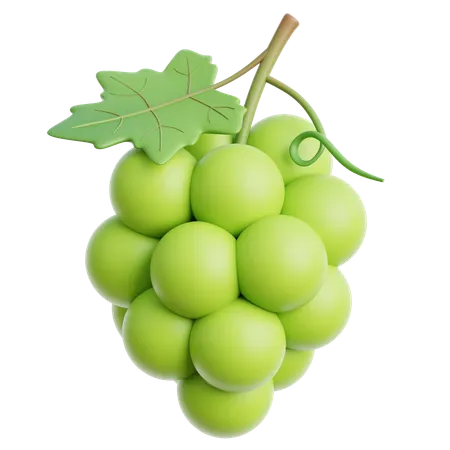 Green Grapes  3D Icon