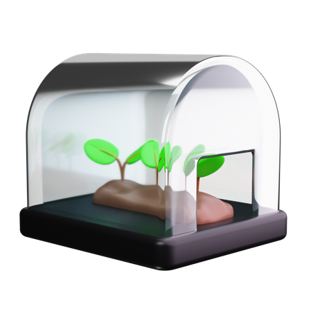 Green House  3D Icon